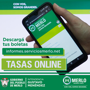 MERLO Tasas Online