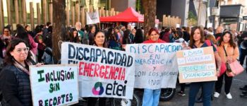 El Senado convirtió en ley la declaración de emergencia en materia de discapacidad