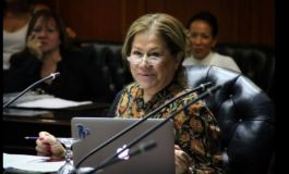 En la audiencia por la ley de Glaciares, Camaño advirtió que la actual norma &ldquo;es el piso mínimo y no puede reducirse&rdquo;